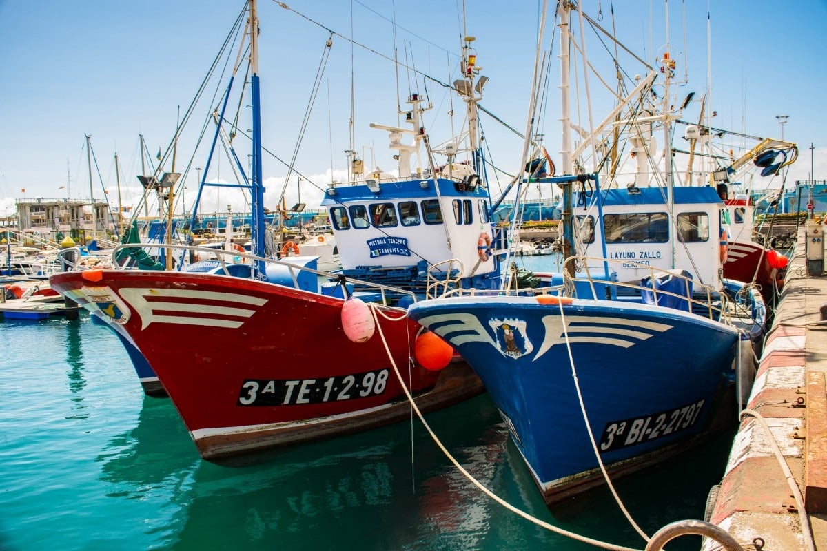 VMS Kapal Ikan Berkualitas Harga Terjangkau